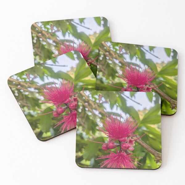 Item preview, Mountain apple Flower designed and sold by Hannah Fenton williams.