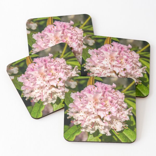Item preview, Pink Rhododendron designed and sold by Ross.A.Campbell.