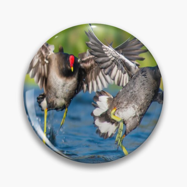 Item preview, Amazing flying Nile chicken. designed and sold by DaliaSabryTee.