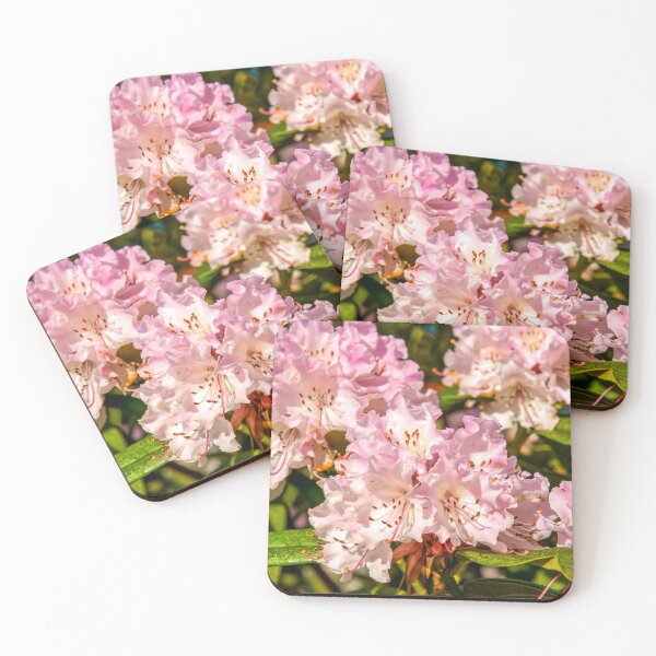 Item preview, Pink Rhododendrons designed and sold by Ross.A.Campbell.