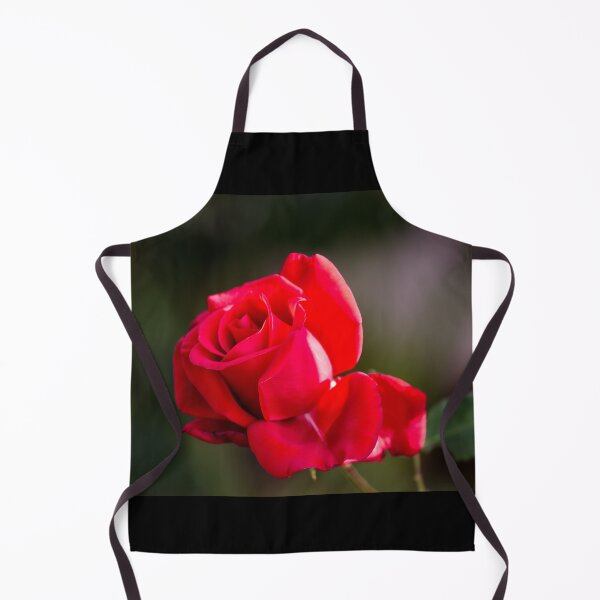 Item preview, Perfect Red Rose  designed and sold by SilentlyRob668.