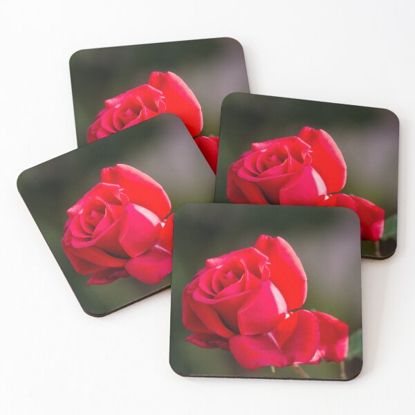 Item preview, Perfect Red Rose  designed and sold by SilentlyRob668.