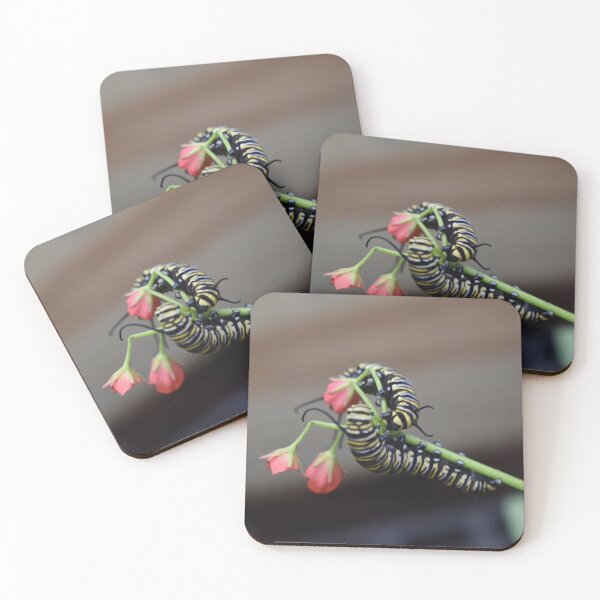 Item preview, Catapillars designed and sold by Snow Loves Journey.