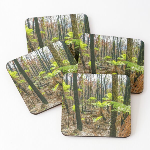 Item preview, Rebirth After Bush Fire, Healesville, Victoria, Australia designed and sold by Ross.A.Campbell.
