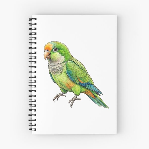 Item preview, Orange-fronted Parrot Digital Watercolor Art designed and sold by GanethViolette0.