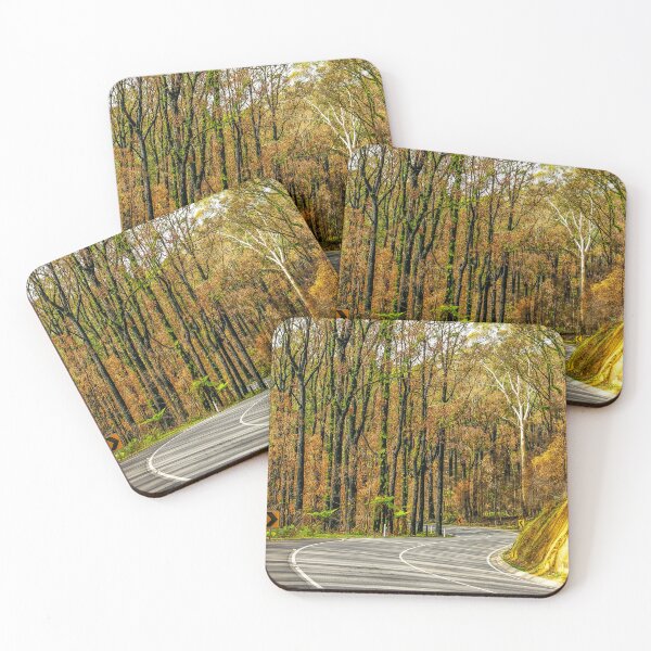 Item preview, Rebirth After Bush Fire, Healesville, Victoria, Australia designed and sold by Ross.A.Campbell.