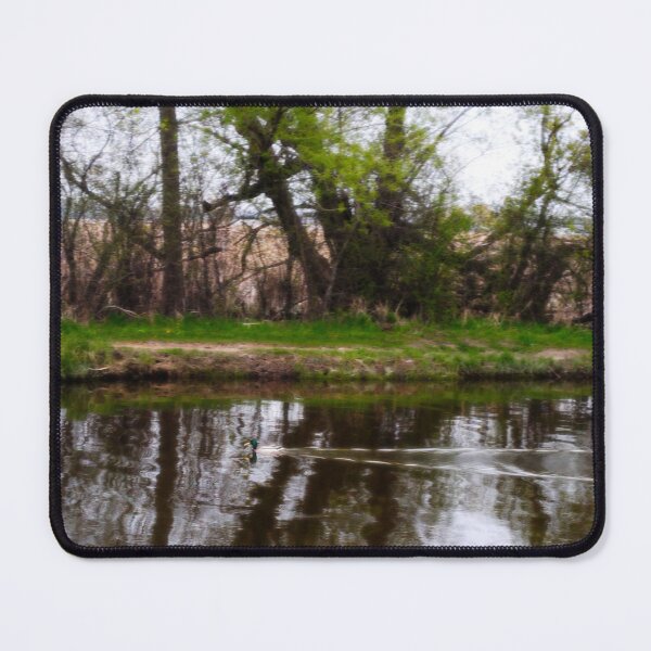 Item preview, Illinois Landscape 11 designed and sold by bloomingvine.