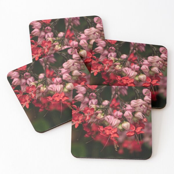 Item preview, Bleeding Heart Vine Flowers - Tropical Red and Pink Floral Close-Up designed and sold by Anjuna Sainath.