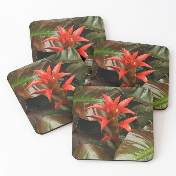 Item preview, Red Guzmania Osyana Bromeliad Among Lush Leaves designed and sold by Anjuna Sainath.