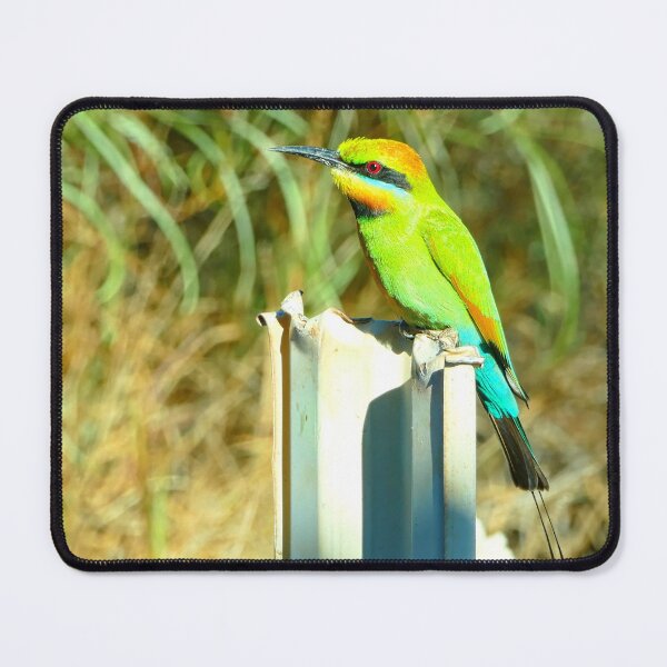 Item preview, The Rainbow Bee Eater a Brightly Colored Australian Bird designed and sold by jaynerushton.