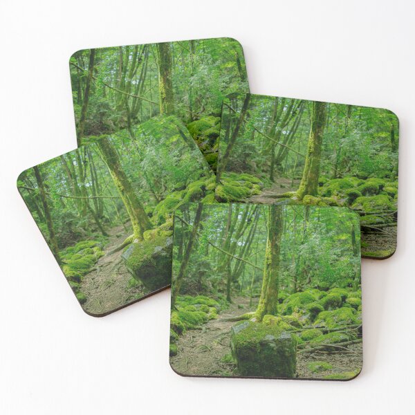 Item preview, Hidden Path: Moss Forest Through the Veil of Branches designed and sold by clipboxjp.