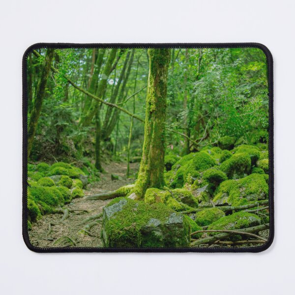 Item preview, Hidden Path: Moss Forest Through the Veil of Branches designed and sold by clipboxjp.