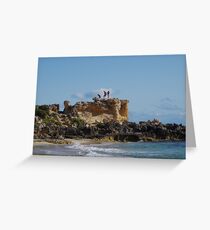 Stupid And Irresponsible (Point Peron, WA) Greeting Card