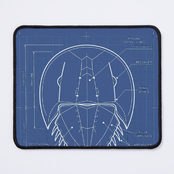 Item preview, Delaware Bay Horseshoe Crab Blueprint - USA 250th Anniversary designed and sold by rygenr8.