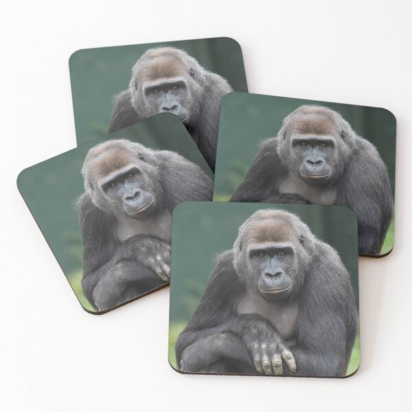 Item preview, Stillness and Strength Gorilla Youngster designed and sold by rawshutterbug.