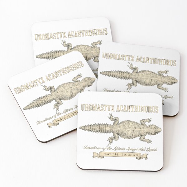 Item preview, Vintage Dabb Spiny-Tailed Lizard (Uromastyx acanthinura) designed and sold by My-Thing.