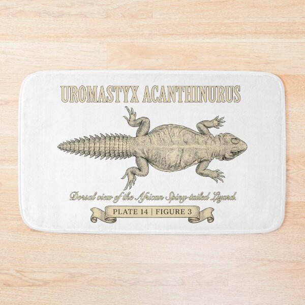Item preview, Vintage Dabb Spiny-Tailed Lizard (Uromastyx acanthinura) designed and sold by My-Thing.