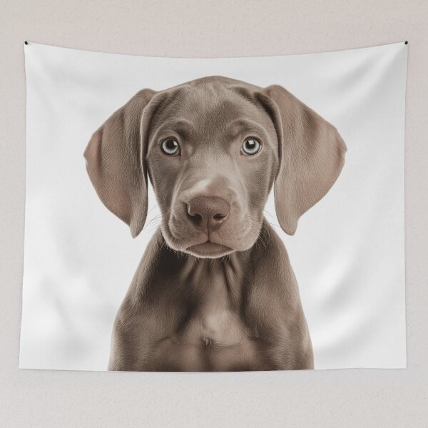 Item preview, Adorable Weimaraner Pup for Cute Weimaraner puppy lovers designed and sold by LazyOwlStore.