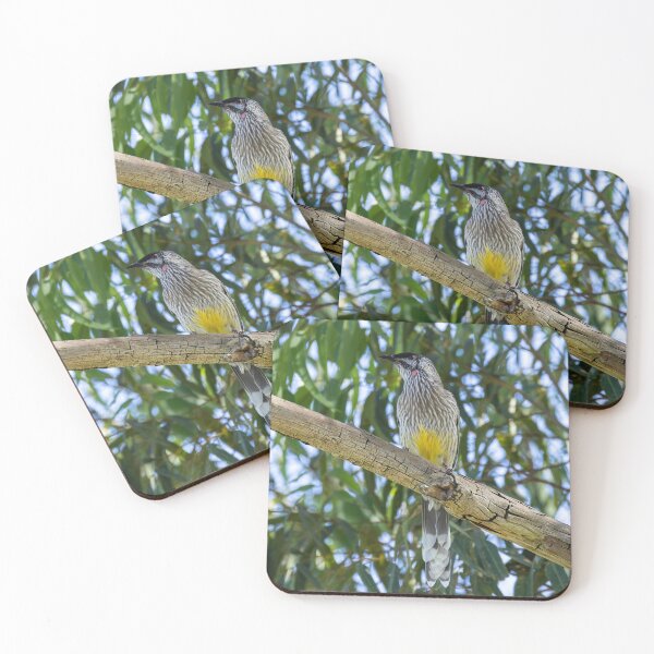 Item preview, Red Wattlebird designed and sold by Malcolm Katon.