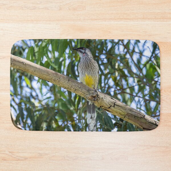 Item preview, Red Wattlebird designed and sold by Malcolm Katon.