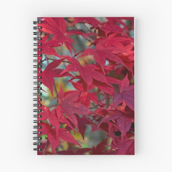 Item preview, Autumn red colors at Nooroo gardens designed and sold by Mrtweety.