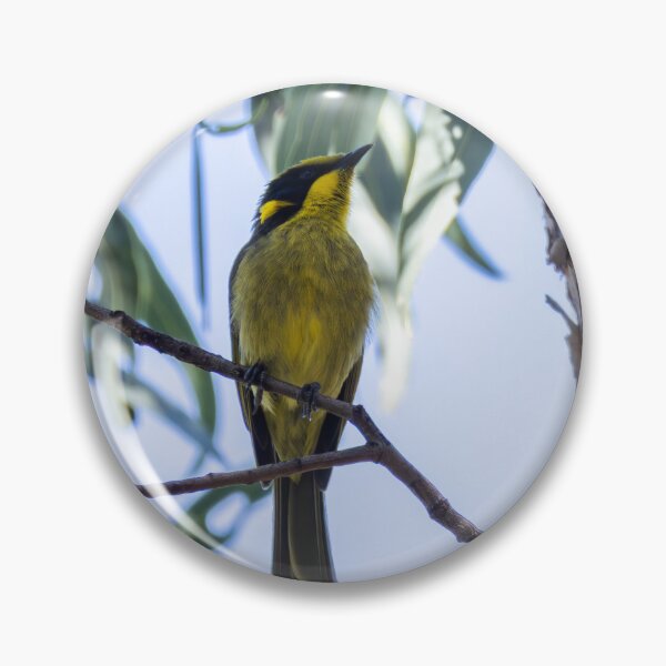 Item preview, Yellow-tufted Honeyeater designed and sold by Malcolm Katon.