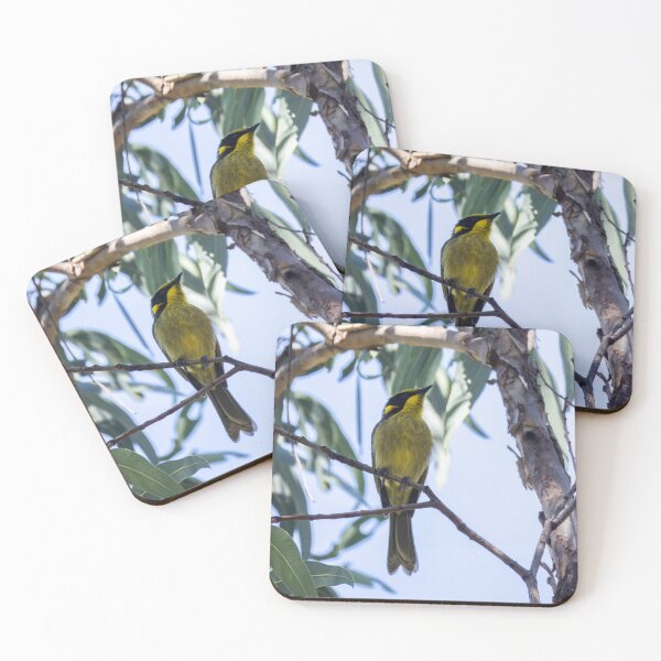 Item preview, Yellow-tufted Honeyeater designed and sold by Malcolm Katon.