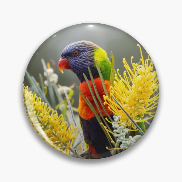 Item preview, Rainbow Lorikeet designed and sold by Malcolm Katon.