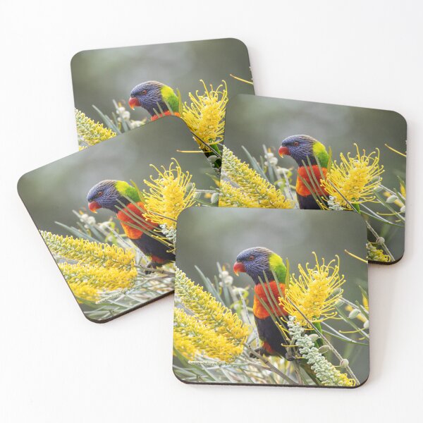 Item preview, Rainbow Lorikeet designed and sold by Malcolm Katon.
