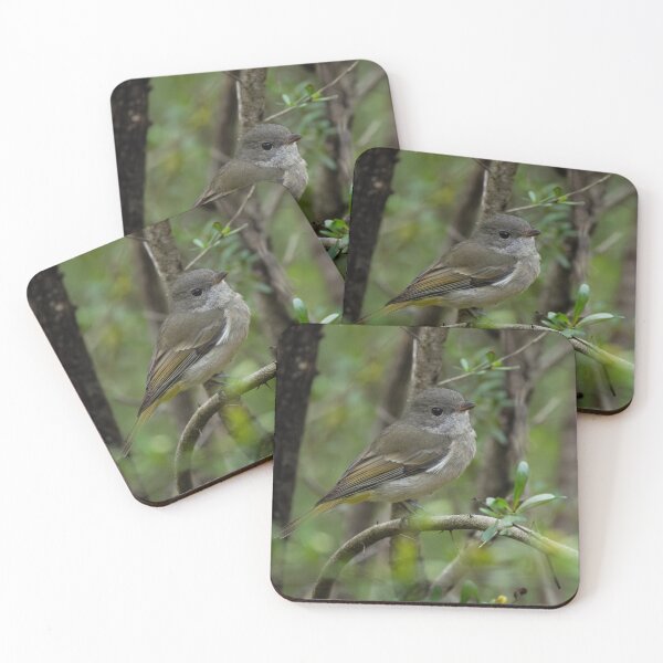 Item preview, Brown Thornbill designed and sold by Malcolm Katon.