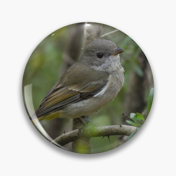 Item preview, Brown Thornbill designed and sold by Malcolm Katon.