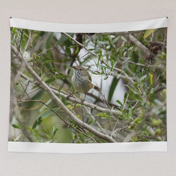 Item preview, Brown Thornbill designed and sold by Malcolm Katon.