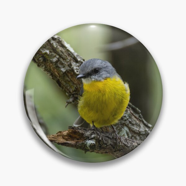 Item preview, Eastern Yellow Robin designed and sold by Malcolm Katon.