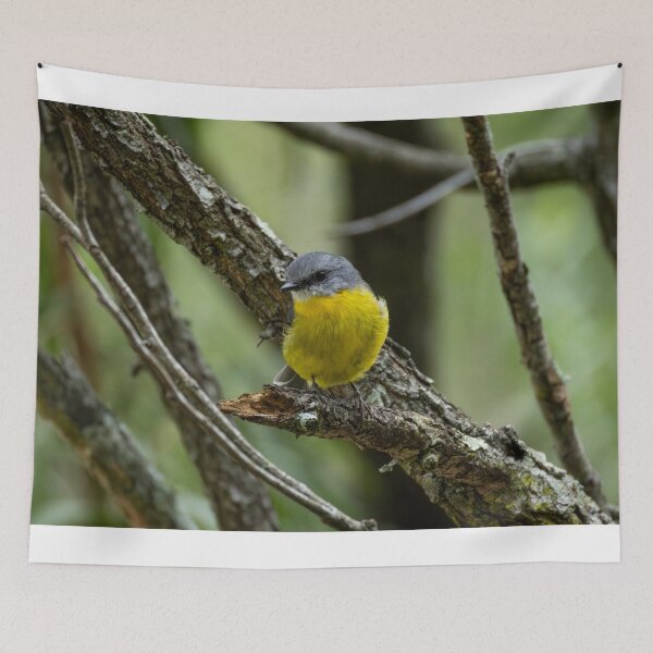 Item preview, Eastern Yellow Robin designed and sold by Malcolm Katon.