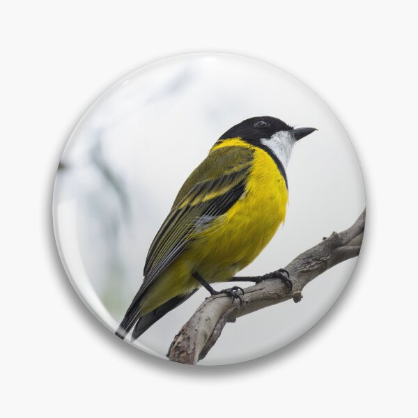 Item preview, Golden Whistler designed and sold by Malcolm Katon.