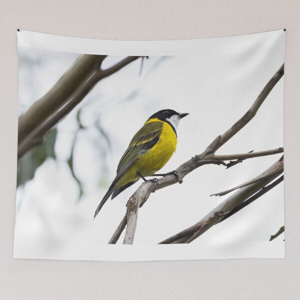 Item preview, Golden Whistler designed and sold by Malcolm Katon.