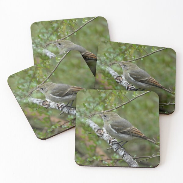 Item preview, Golden Whistler designed and sold by Malcolm Katon.