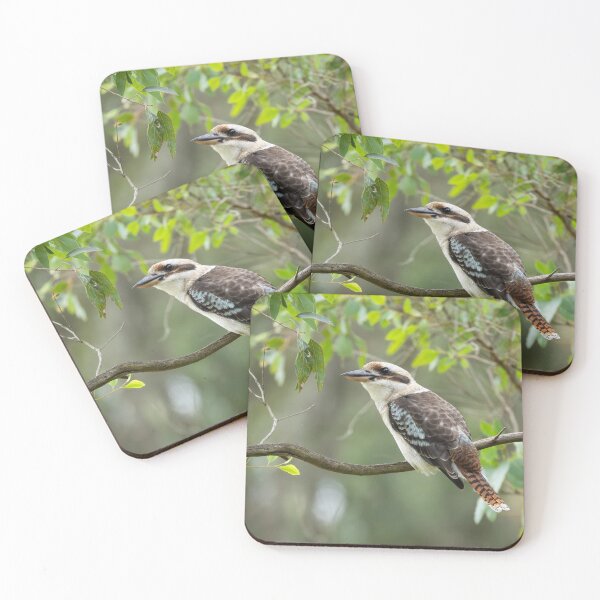 Item preview, Kookaburra designed and sold by Malcolm Katon.