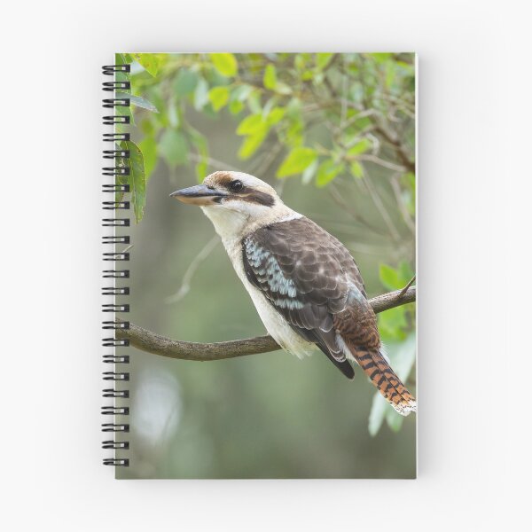Item preview, Kookaburra designed and sold by Malcolm Katon.