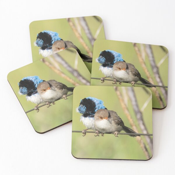 Item preview, Superb Fairywrens designed and sold by Malcolm Katon.