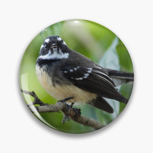 Item preview, Grey Fantail designed and sold by Malcolm Katon.