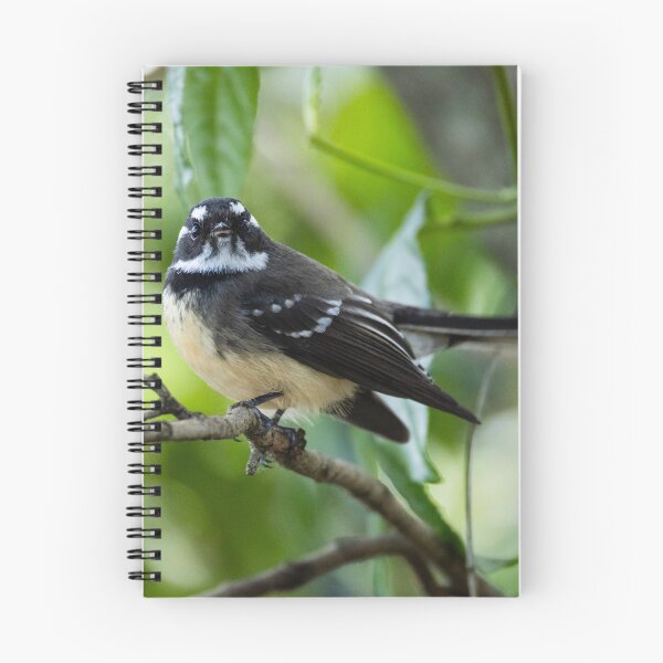 Item preview, Grey Fantail designed and sold by Malcolm Katon.