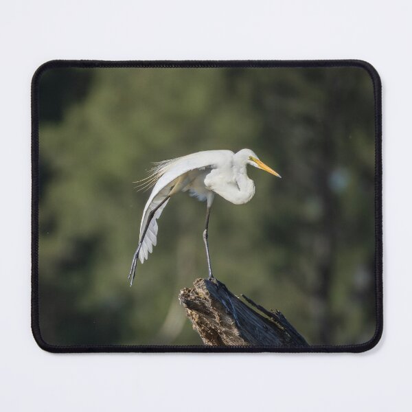 Item preview, Plumed Egret designed and sold by Malcolm Katon.
