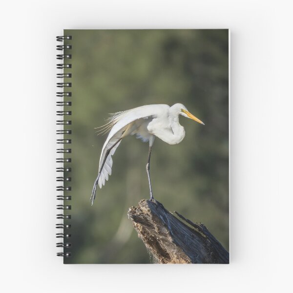Item preview, Plumed Egret designed and sold by Malcolm Katon.
