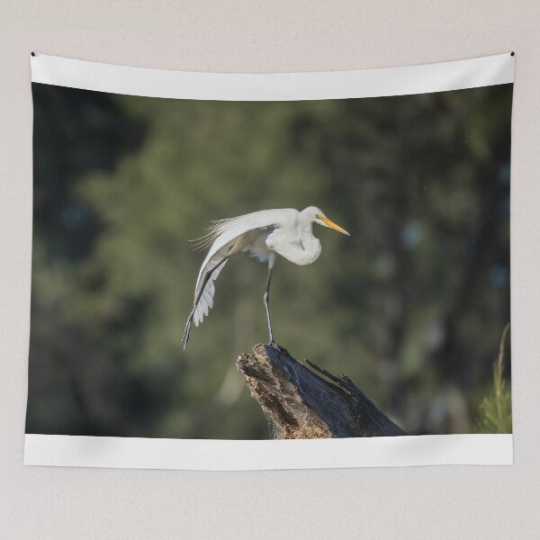 Item preview, Plumed Egret designed and sold by Malcolm Katon.