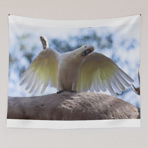 Item preview, Cockatoo designed and sold by Malcolm Katon.