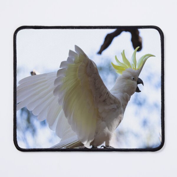 Item preview, Cockatoo designed and sold by Malcolm Katon.