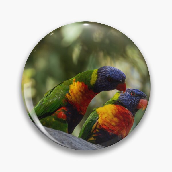 Item preview, Rainbow Lorikeet designed and sold by Malcolm Katon.