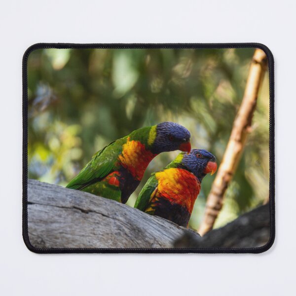 Item preview, Rainbow Lorikeet designed and sold by Malcolm Katon.