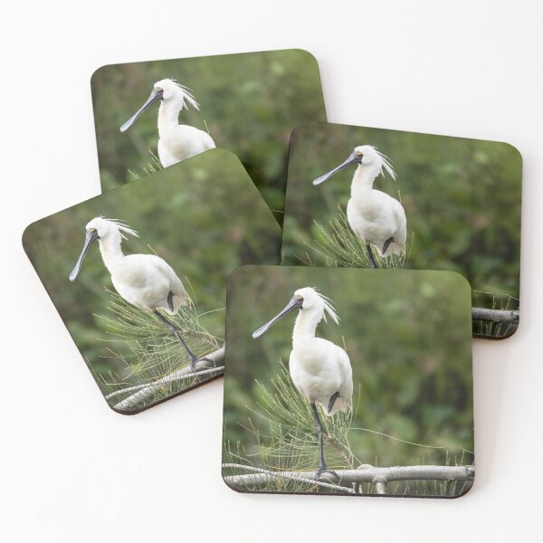 Item preview, Royal Spoonbill designed and sold by Malcolm Katon.